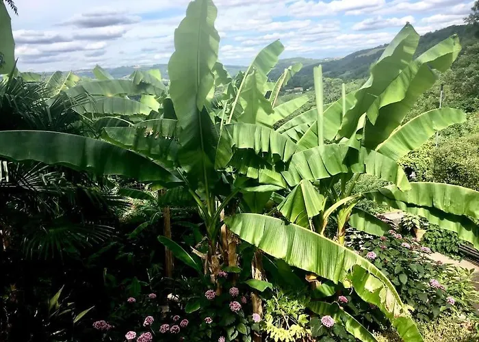 בית נופש La Maison De Traverse - Gite De Caractere