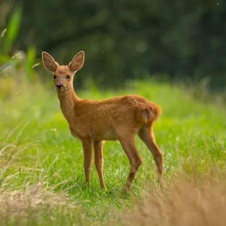 La Maison De Traverse - Gite De Caractere بيت للعطل كورد سور سيال